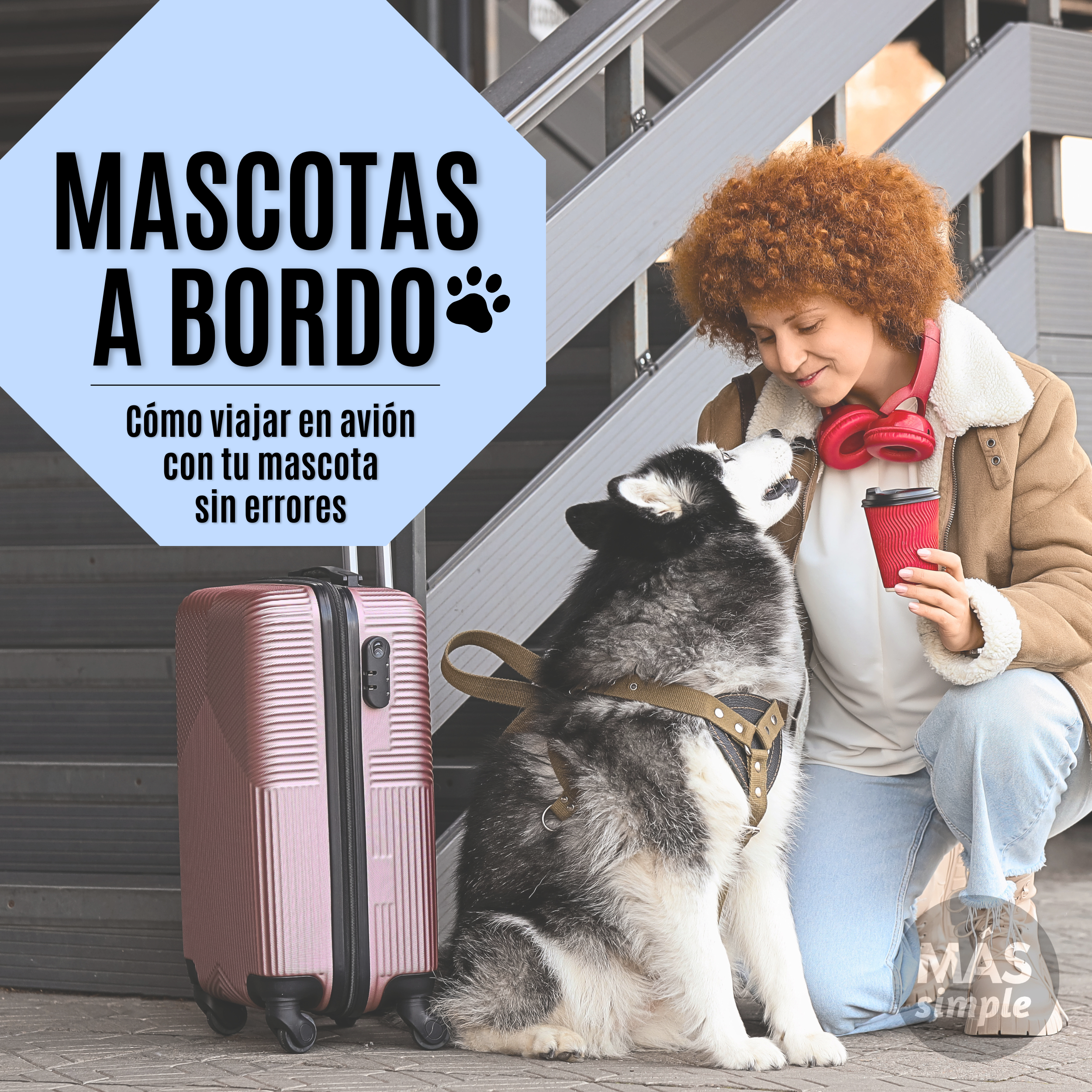 🐾 ¿Viajás con tu mascota?